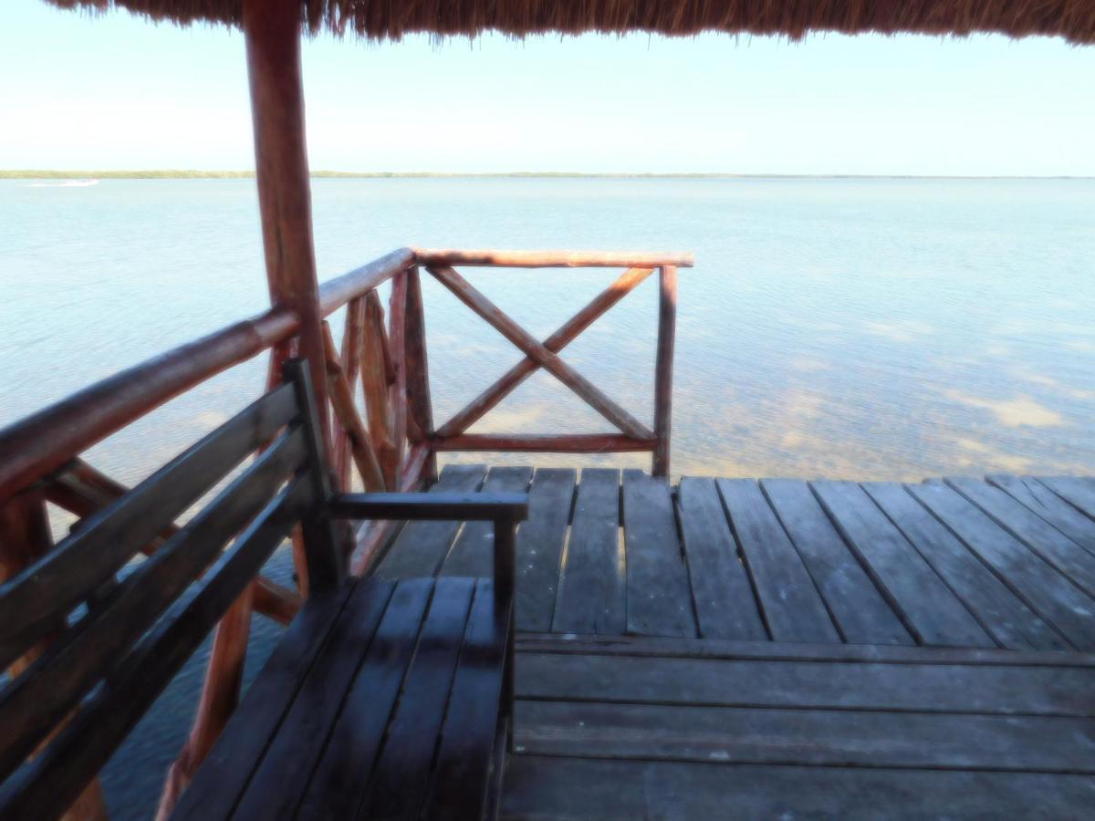 Río Lagartos Posada El Perico Marinero מראה חיצוני תמונה